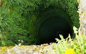 Андрей Масалович