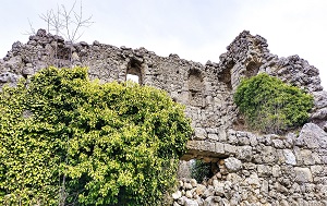 Андрей Масалович