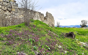 Андрей Масалович