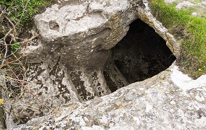 Андрей Масалович