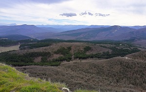 Андрей Масалович
